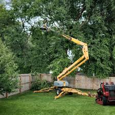 Leaf Removal in Keowee Key, SC